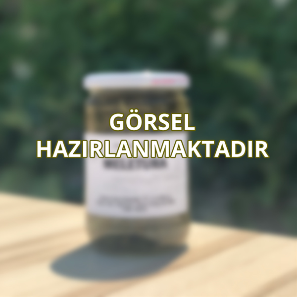 Kayısı Çağlası Turşusu 5 Kg