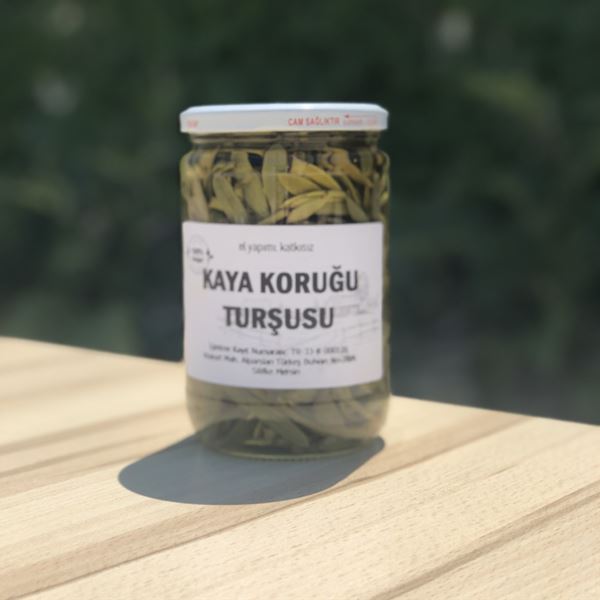 Kaya Koruğu  780 Gr