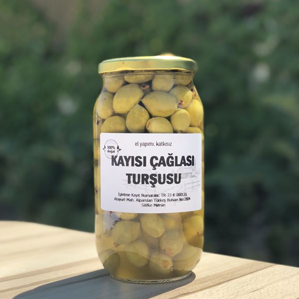 Kayısı Çağlası Turşusu 1,2 Kg