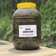 Deniz Börülcesi 5 Kg