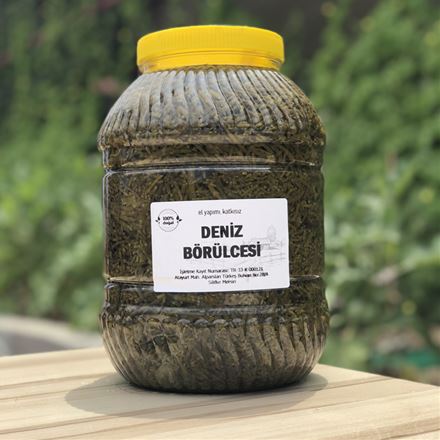 Deniz Börülcesi 5 Kg
