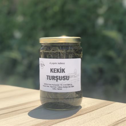 Dağ Kekiği Turşusu 780 Gr