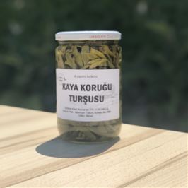 Kaya Koruğu  780 Gr