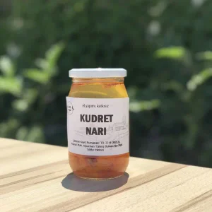 Kudret Narı